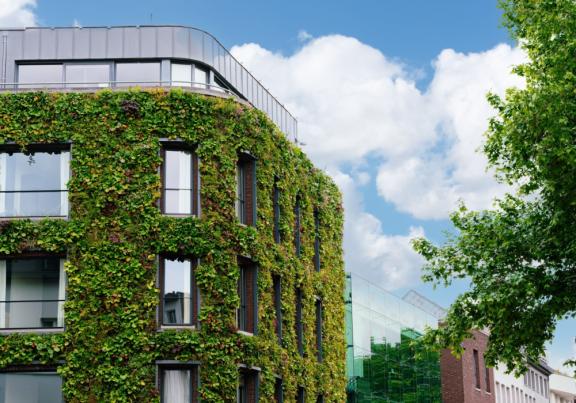 immeuble participatif 