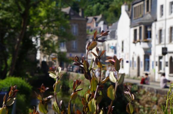 Quimper : une ville avec une haute qualité de vie